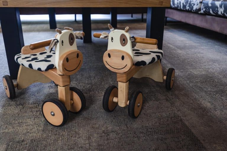 Vakantiepark-huisjes-'t-Broekhuis-Ewijk-vakantie-weekendje-weg-36